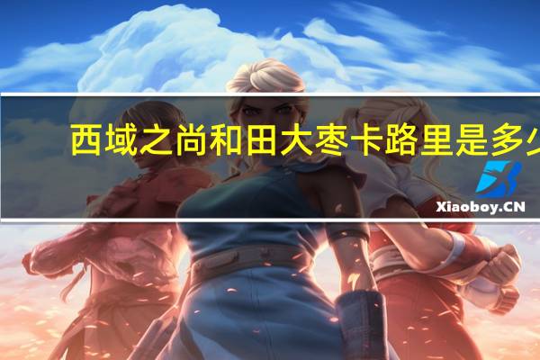 西域之尚 和田大枣卡路里是多少