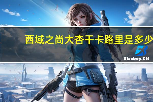 西域之尚 大杏干卡路里是多少