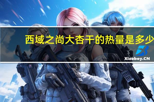 西域之尚 大杏干的热量是多少