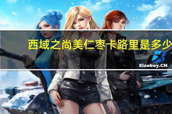 西域之尚 美仁枣卡路里是多少