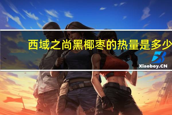 西域之尚 黑椰枣的热量是多少