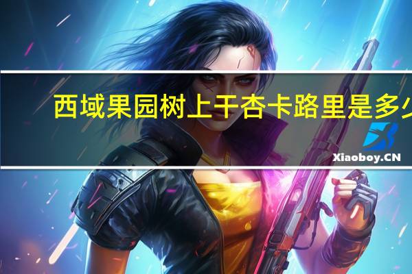 西域果园 树上干杏卡路里是多少