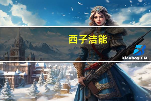 西子洁能:当前公司已取得光热市场装备订单的批量突破