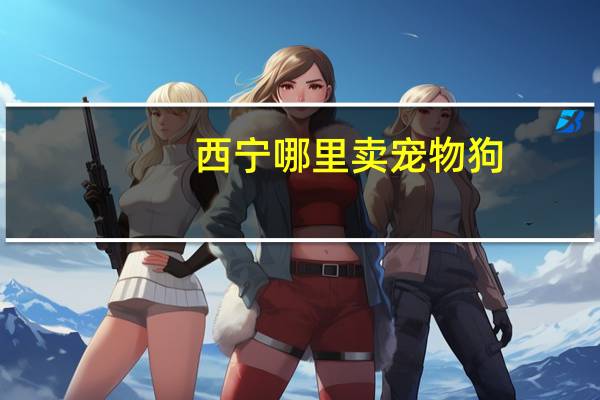 西宁哪里卖宠物狗