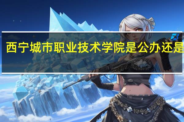 西宁城市职业技术学院是公办还是民办