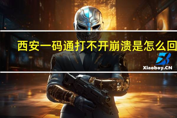 西安一码通打不开崩溃是怎么回事