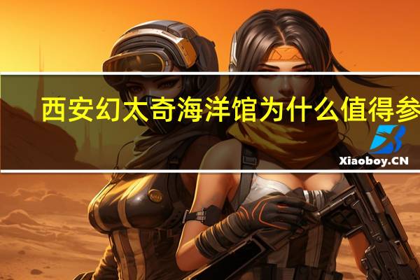 西安幻太奇海洋馆为什么值得参观