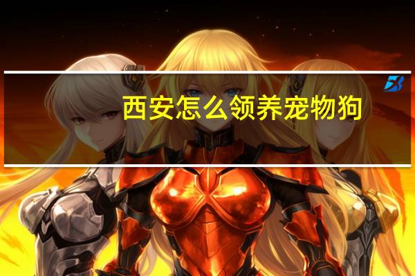 西安怎么领养宠物狗