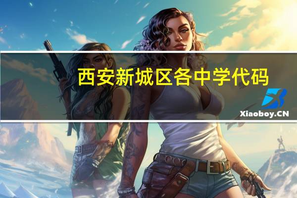 西安新城区各中学代码