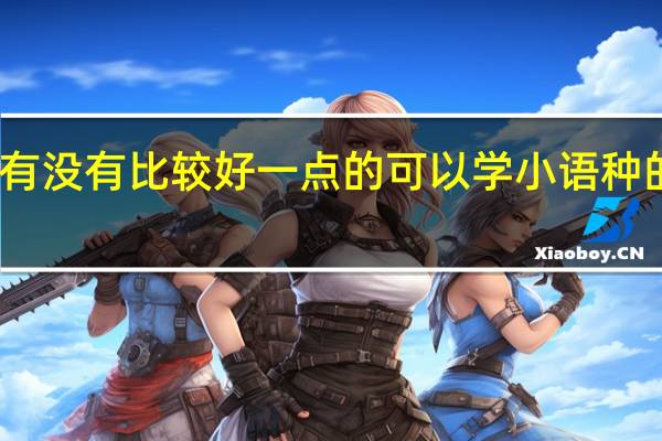 西安有没有比较好一点的可以学小语种的二本学校