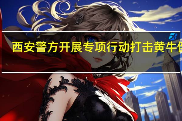 西安警方开展专项行动打击黄牛倒票