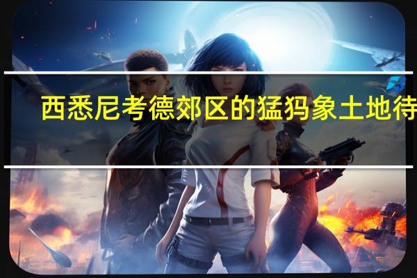 西悉尼考德郊区的猛犸象土地待售