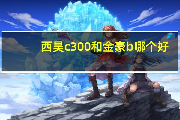 西昊c300和金豪b哪个好
