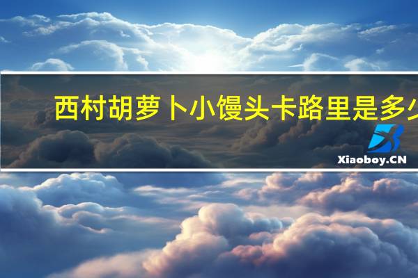 西村 胡萝卜小馒头卡路里是多少