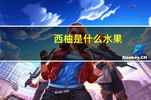 西柚是什么水果