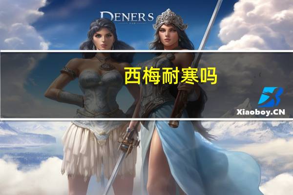 西梅耐寒吗