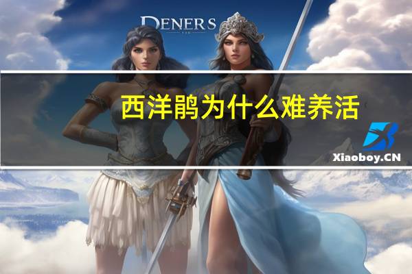西洋鹃为什么难养活