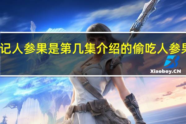 西游记人参果是第几集介绍的 偷吃人参果是第几集