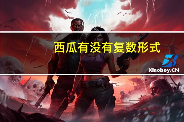 西瓜有没有复数形式