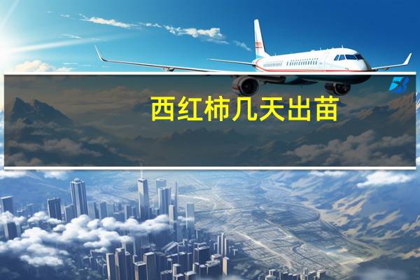 西红柿几天出苗