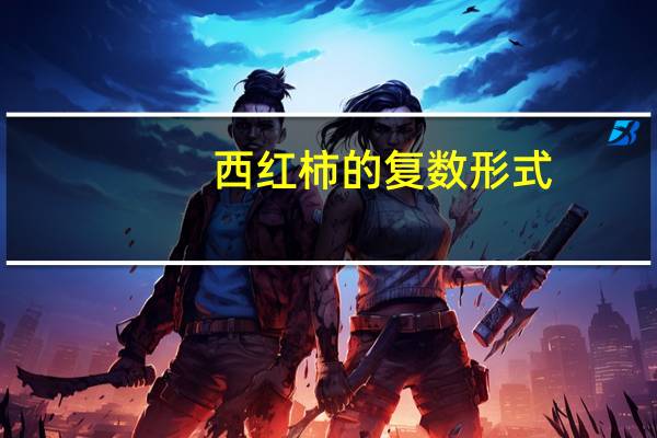 西红柿的复数形式