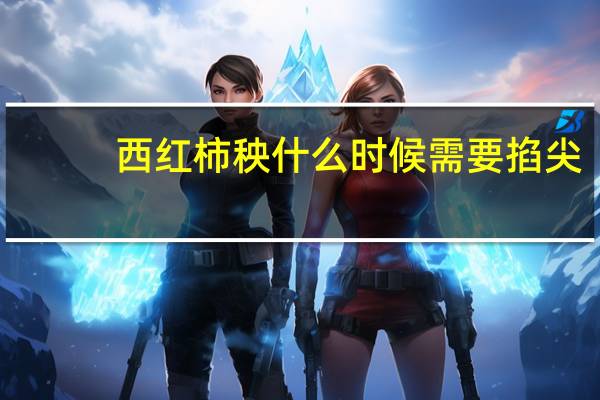 西红柿秧什么时候需要掐尖