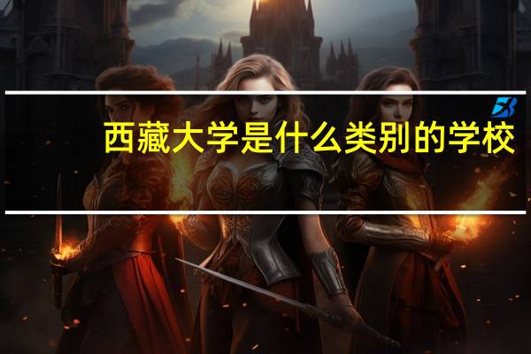 西藏大学是什么类别的学校