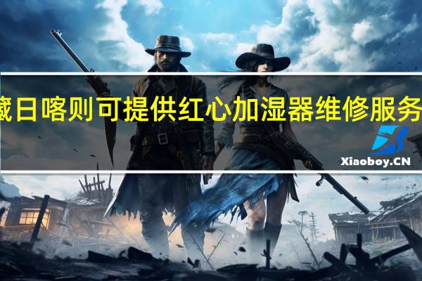 西藏日喀则可提供红心加湿器维修服务地址在哪