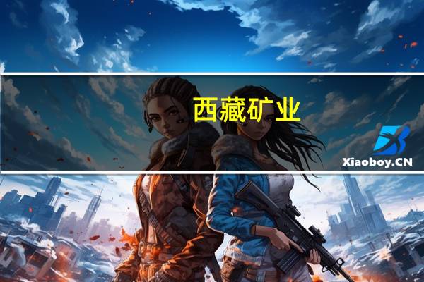 西藏矿业：白银扎布耶100%股权挂牌转让底价调整为3.42亿元