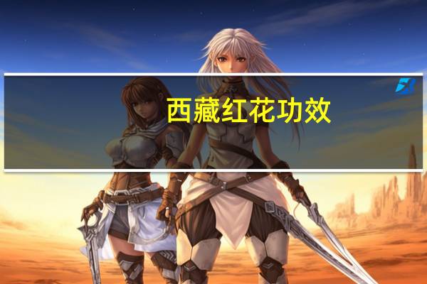西藏红花功效(西藏红花)