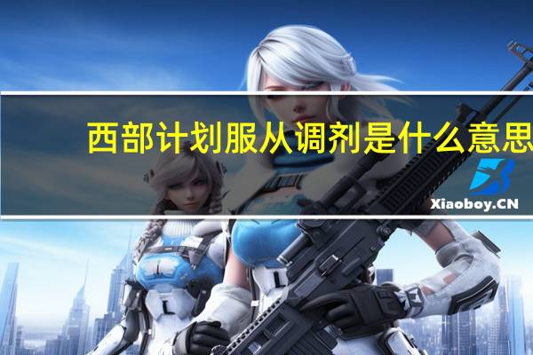 西部计划服从调剂是什么意思