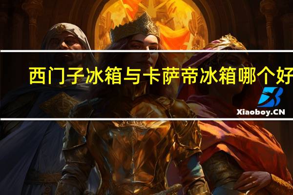 西门子冰箱与卡萨帝冰箱哪个好些（西门子冰箱质量怎么样）