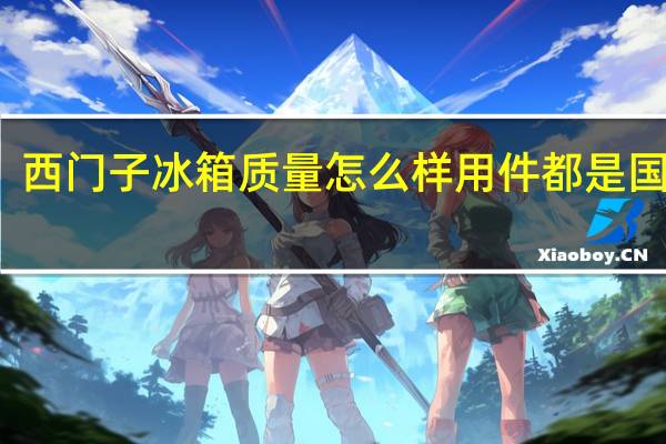 西门子冰箱质量怎么样 用件都是国产的（西门子冰箱质量怎么样）