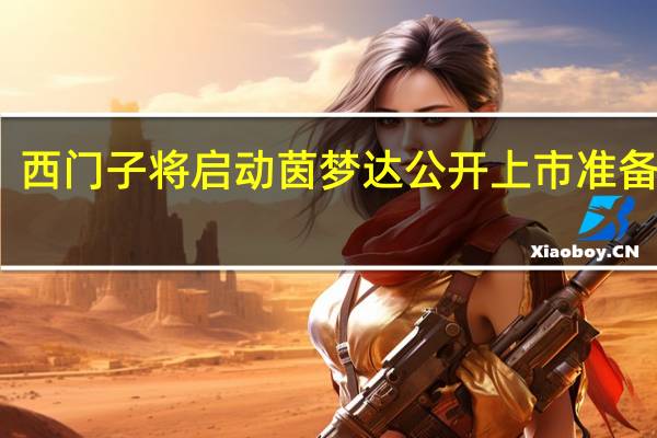 西门子将启动茵梦达公开上市准备工作