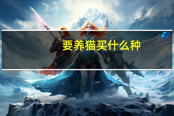 要养猫买什么种