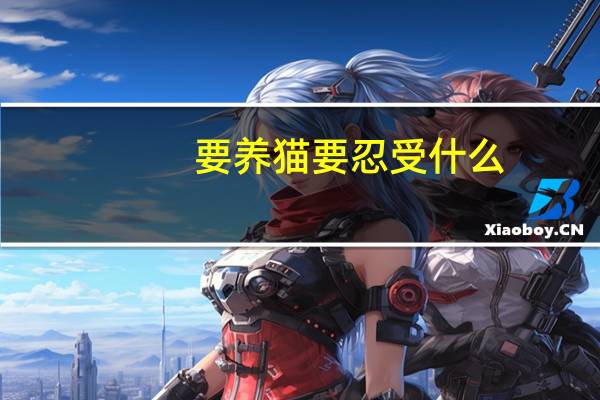 要养猫要忍受什么