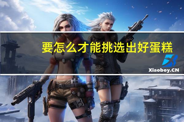 要怎么才能挑选出好蛋糕