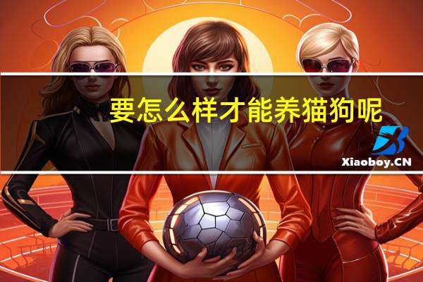 要怎么样才能养猫狗呢