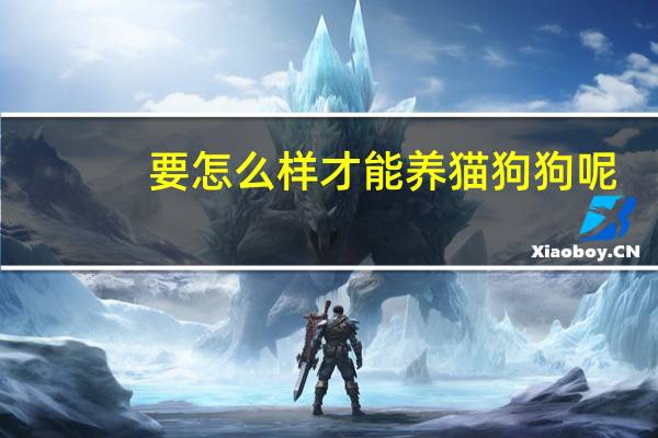 要怎么样才能养猫狗狗呢