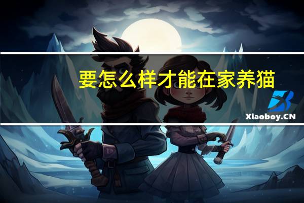 要怎么样才能在家养猫