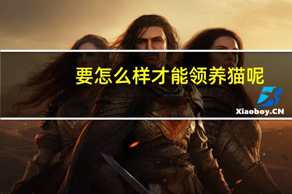 要怎么样才能领养猫呢