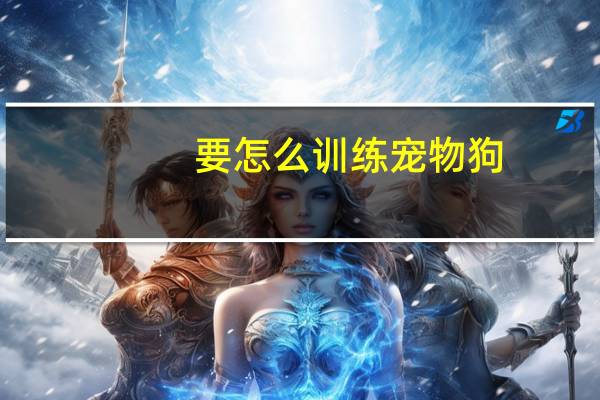 要怎么训练宠物狗