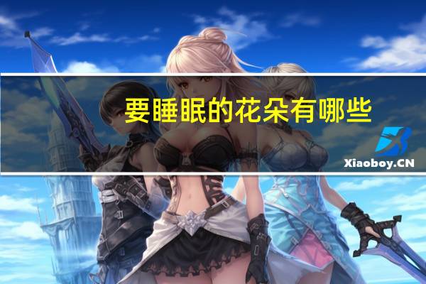 要睡眠的花朵有哪些