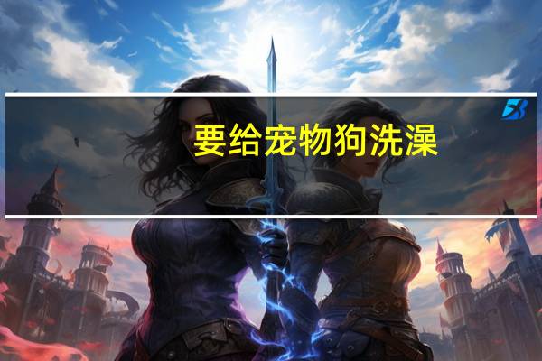 要给宠物狗洗澡