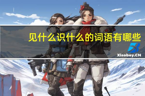 见什么识什么的词语有哪些?