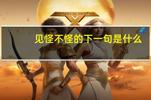 见怪不怪的下一句是什么