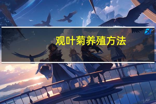 观叶菊养殖方法