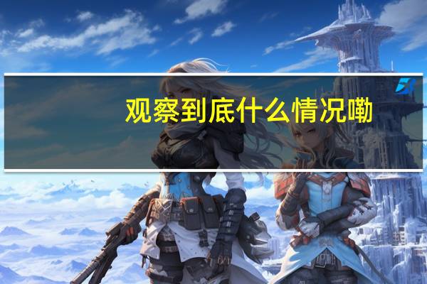 观察 到底什么情况嘞