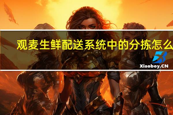 观麦生鲜配送系统中的分拣怎么样