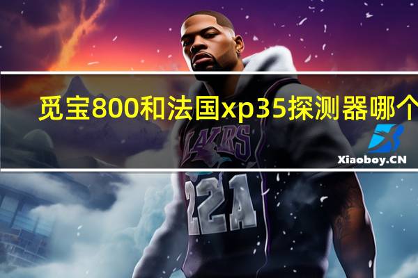 觅宝800和法国xp35探测器哪个好（觅宝秀秀）
